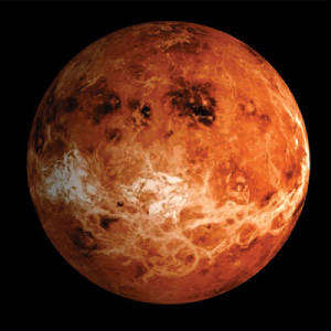 venus.jpg